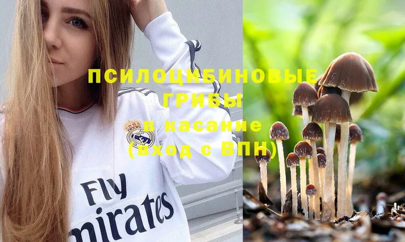 Псилоцибиновые грибы Psilocybine cubensis  MEGA ссылка  Горбатов 