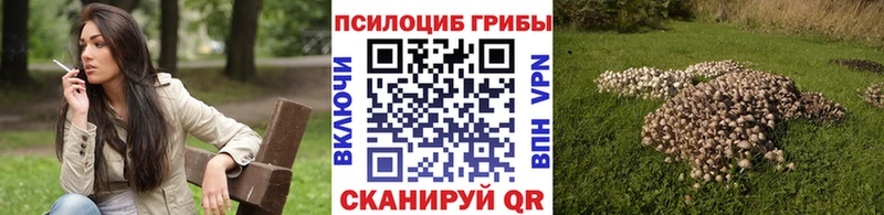 Псилоцибиновые грибы ЛСД  Горбатов 
